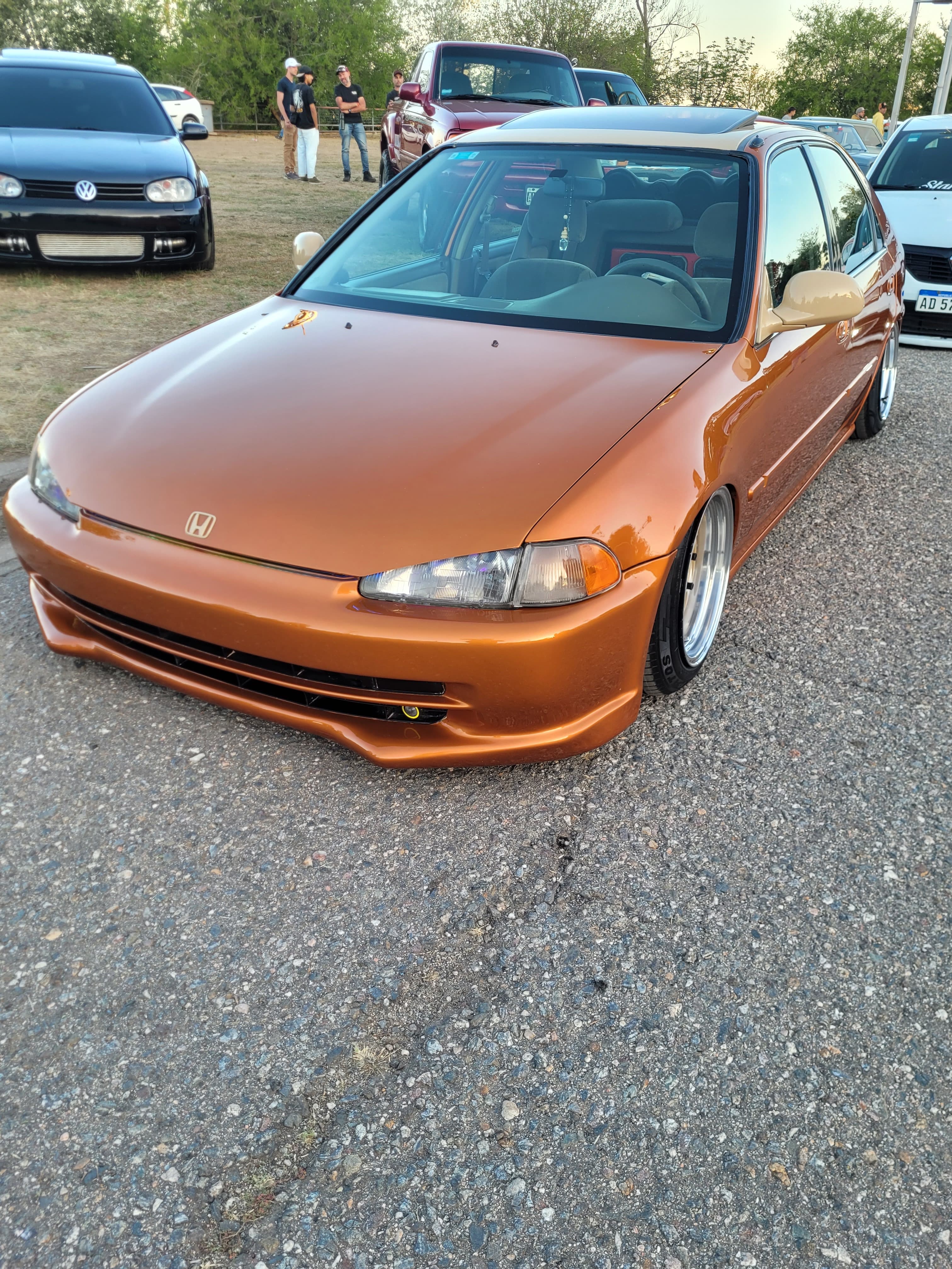 Elegant Street 2K23