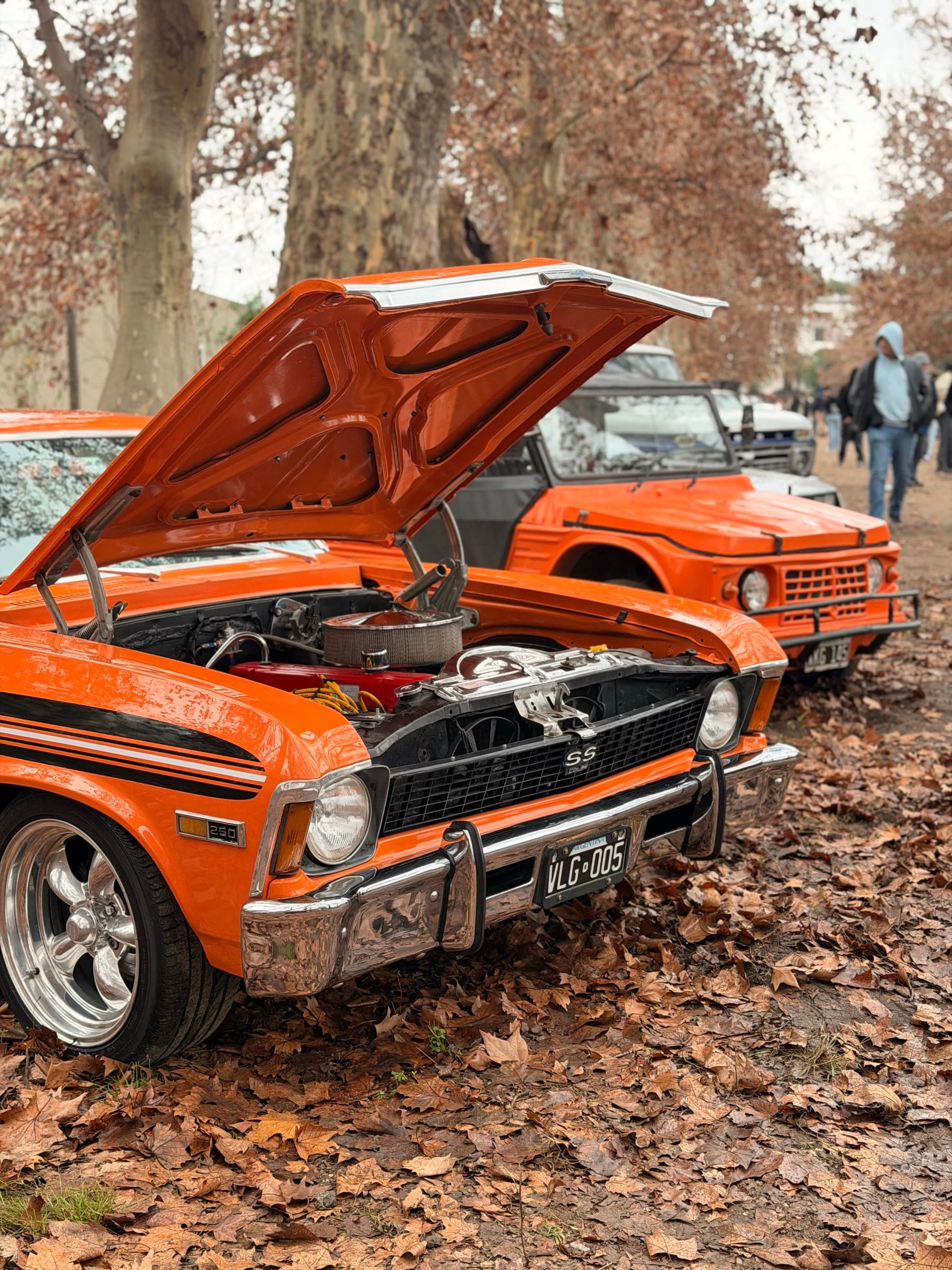 Elegant Street Classic Cars 2K26