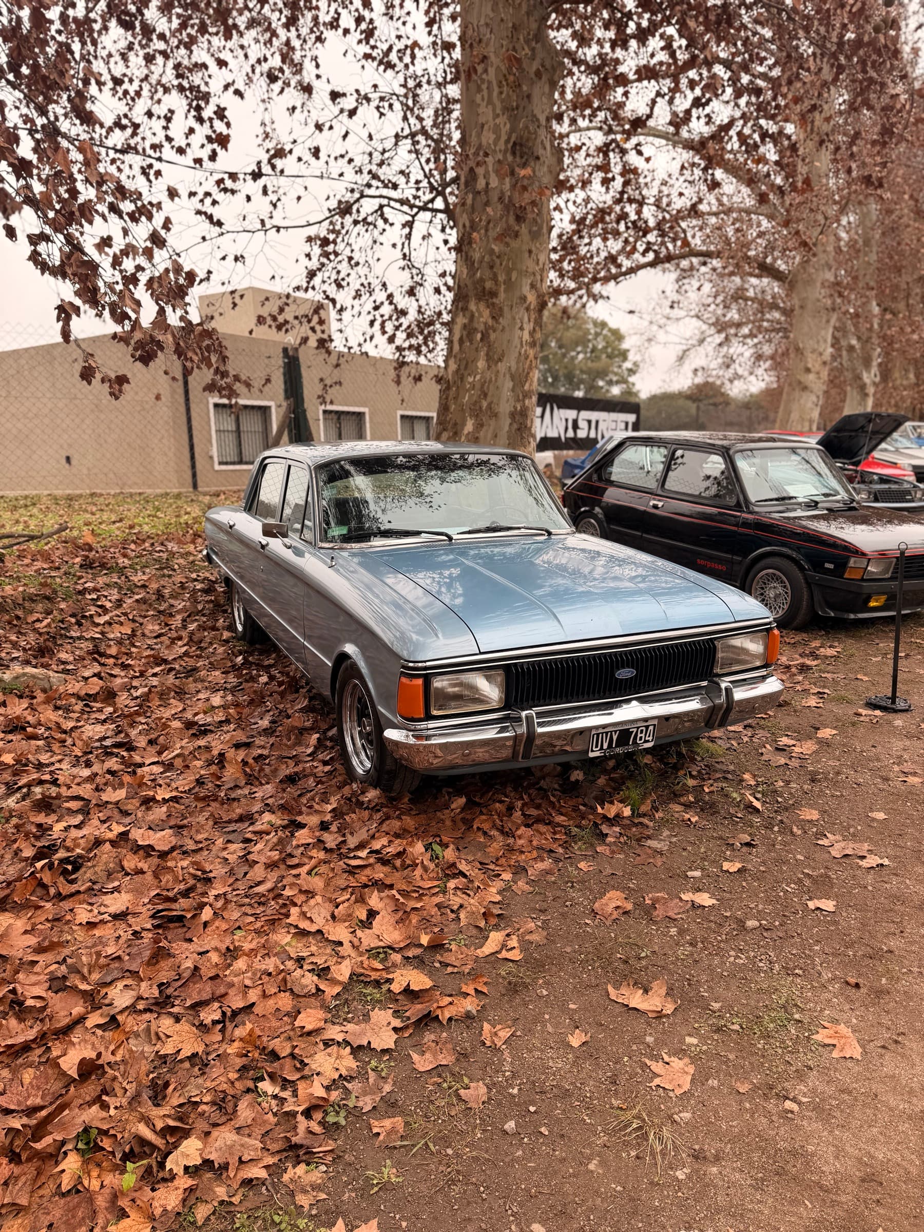 Elegant Street Classic Cars 2K26
