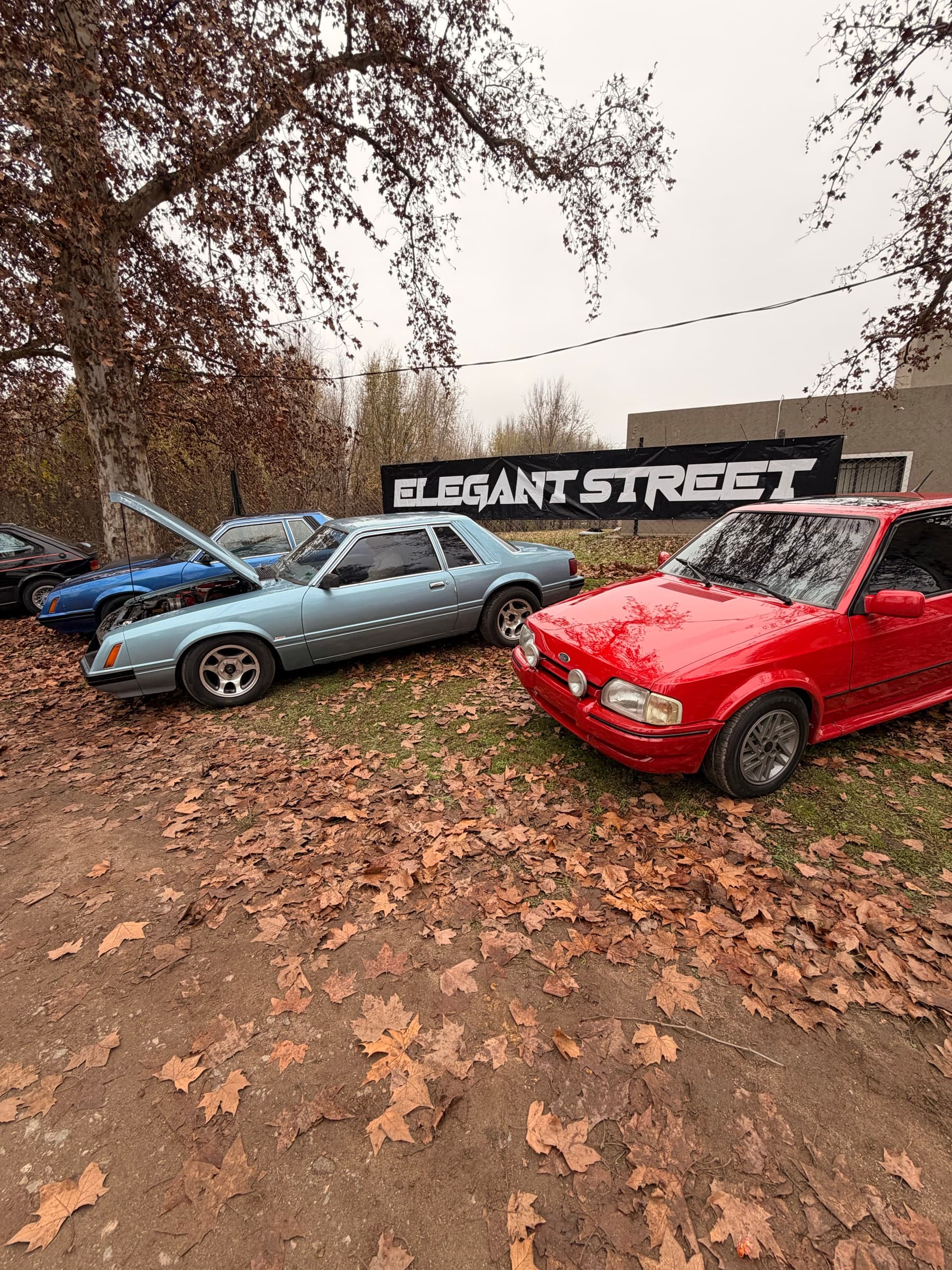 Elegant Street Classic Cars 2K26