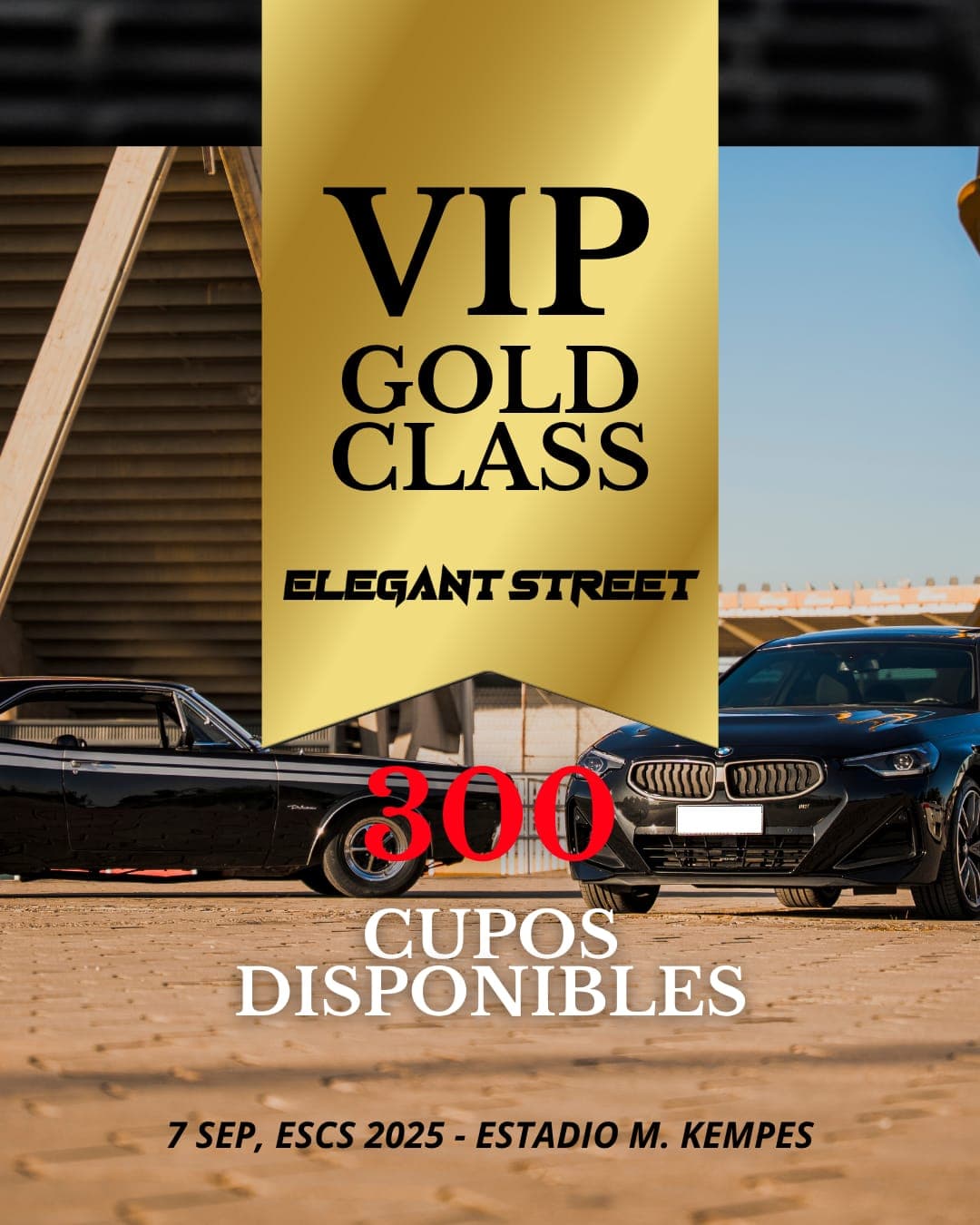 VIP Experience