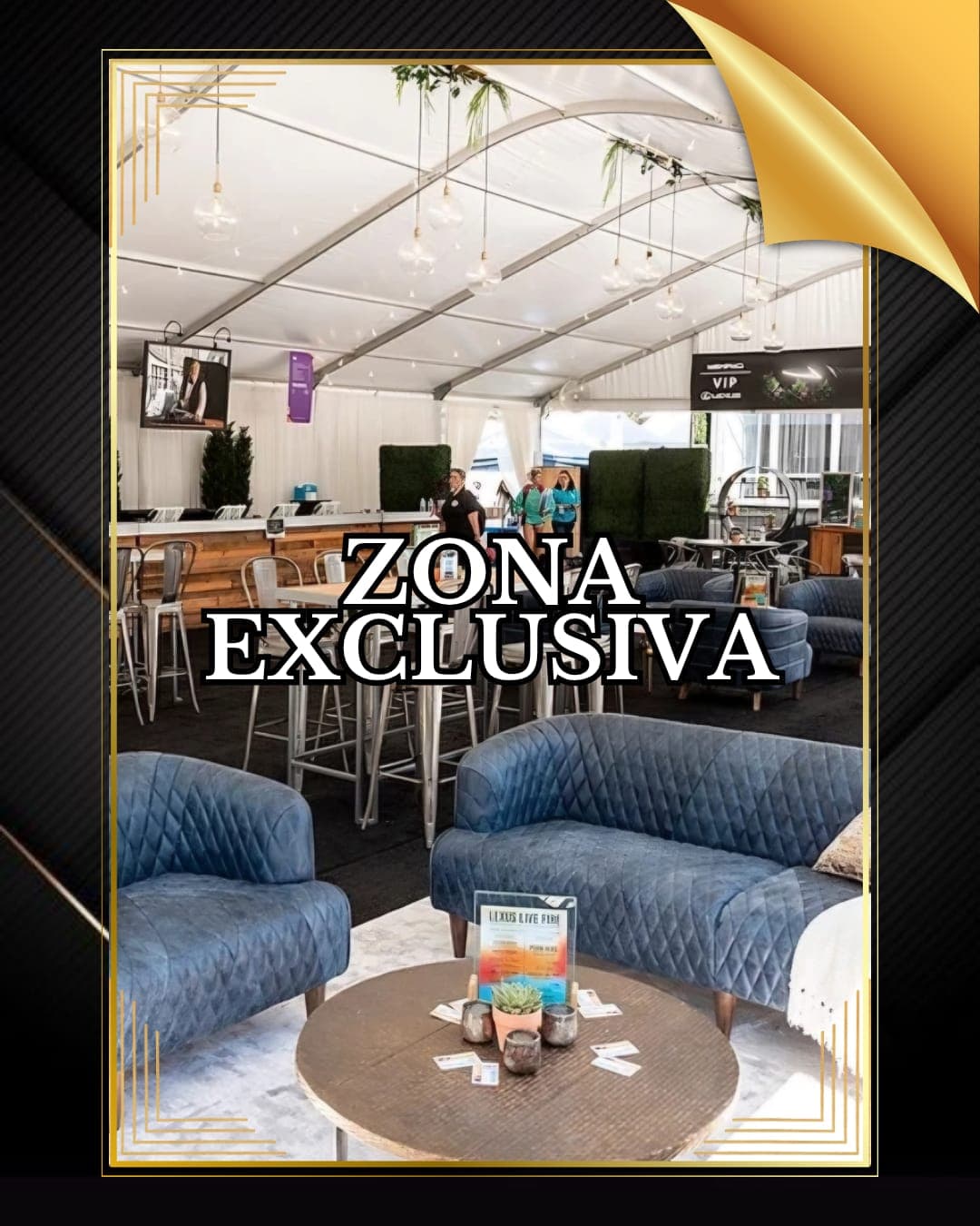 VIP Experience 5